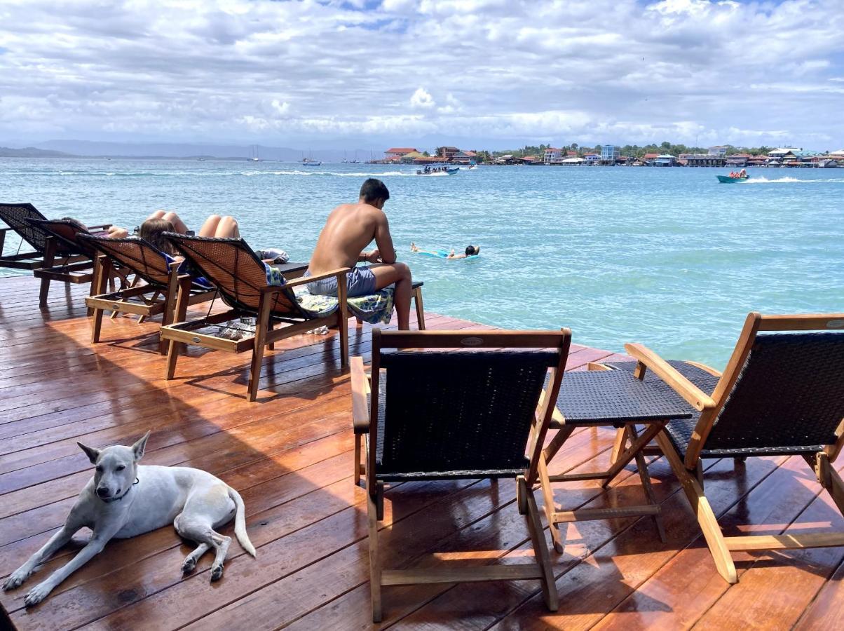 Casa Acuario Boutique Hotel Bocas del Toro Esterno foto