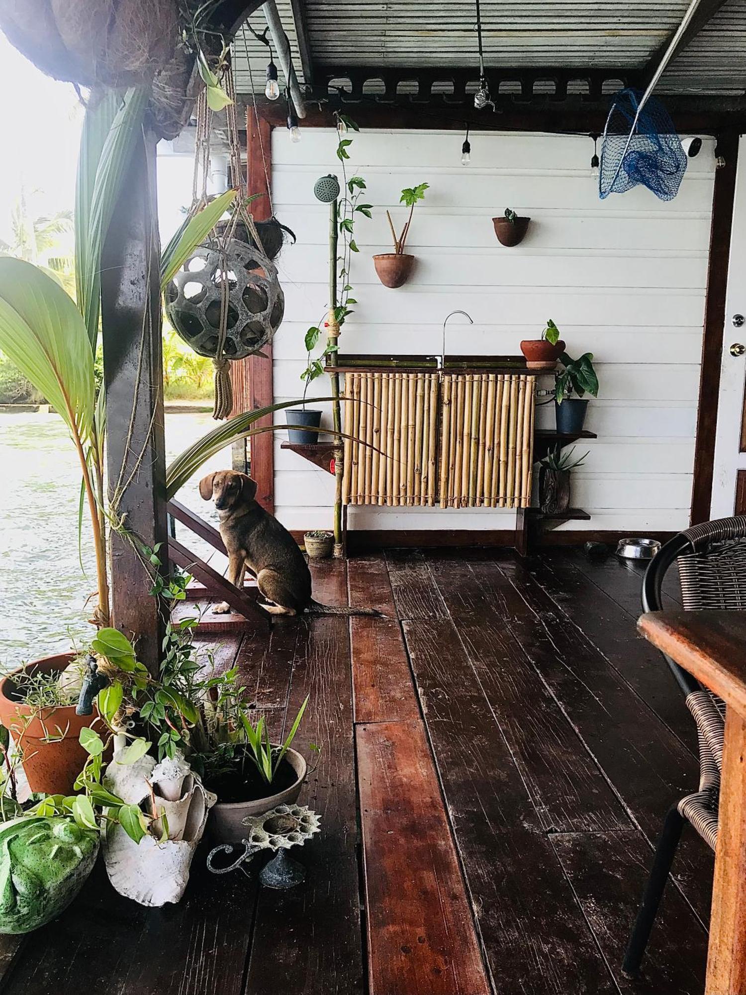 Casa Acuario Boutique Hotel Bocas del Toro Esterno foto