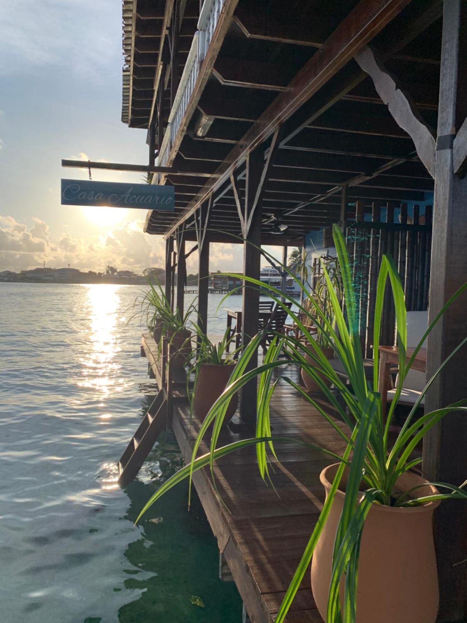 Casa Acuario Boutique Hotel Bocas del Toro Esterno foto